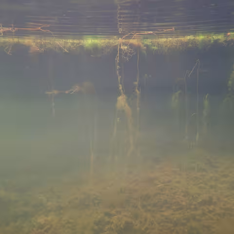 A Kinder Line - Album by ra la jo