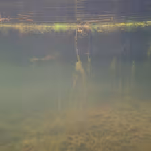 A Kinder Line - Album by ra la jo